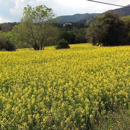Casa Rural Can Panxa Sant Pere de Vilamajor Exteriör bild