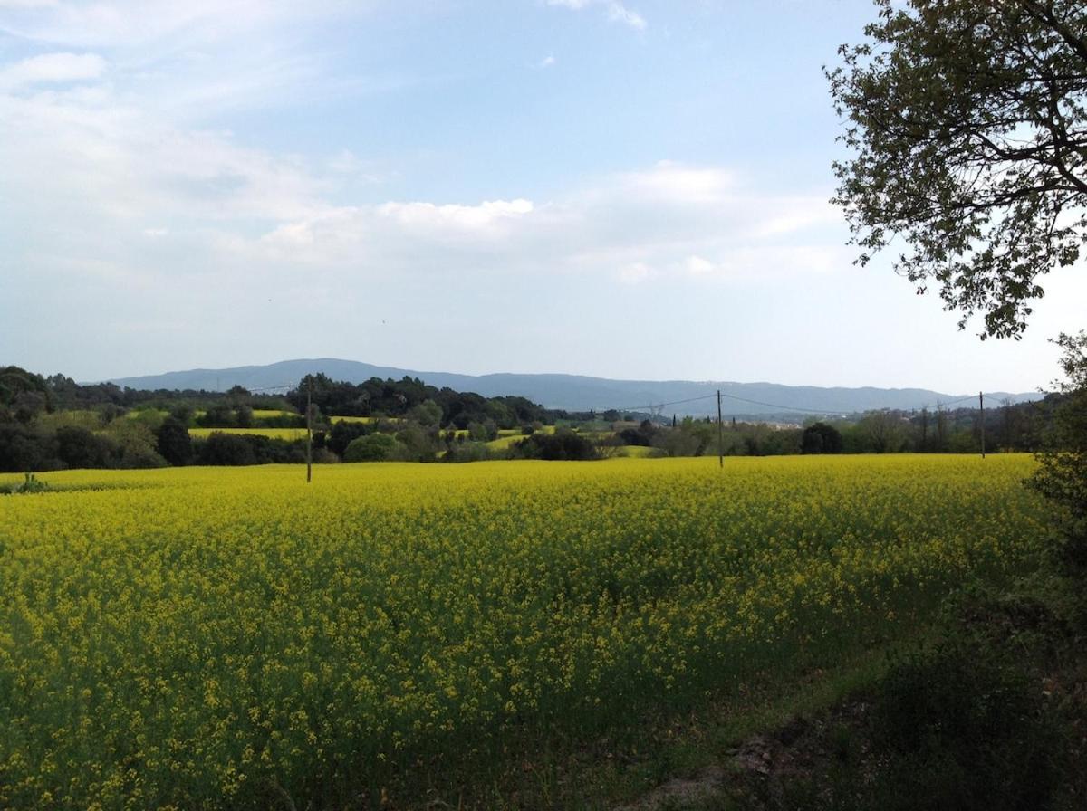 Casa Rural Can Panxa Sant Pere de Vilamajor Exteriör bild
