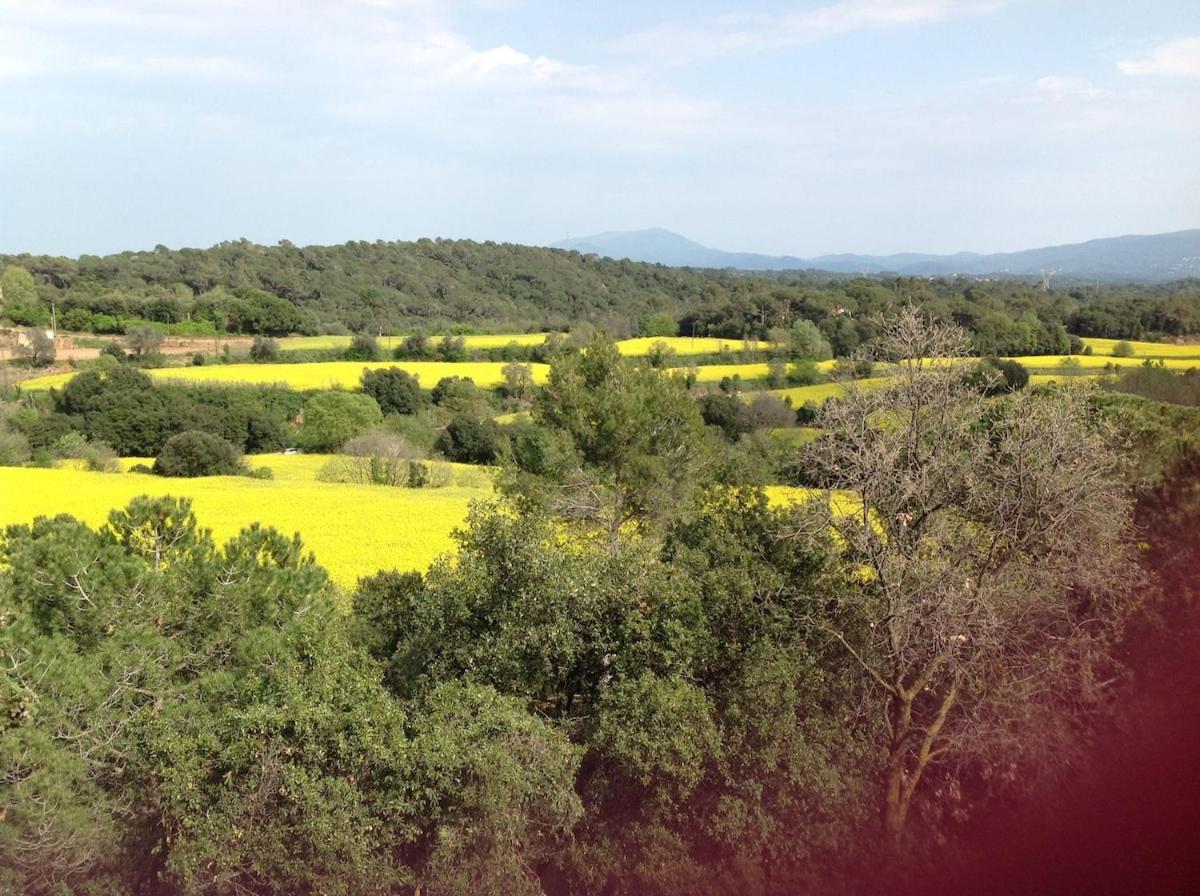 Casa Rural Can Panxa Sant Pere de Vilamajor Exteriör bild